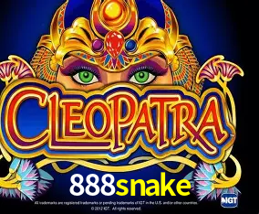 888snake Curitiba - Live Status
